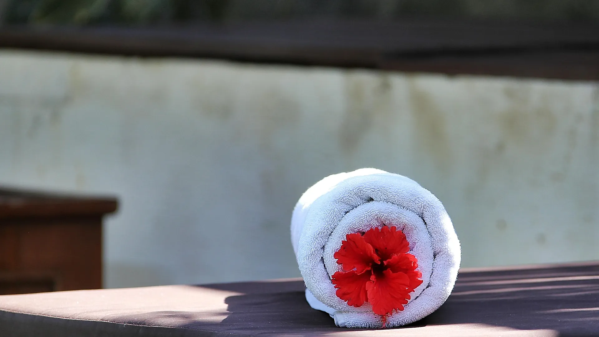 The Sanyas Suite Seminyak  Indonesia